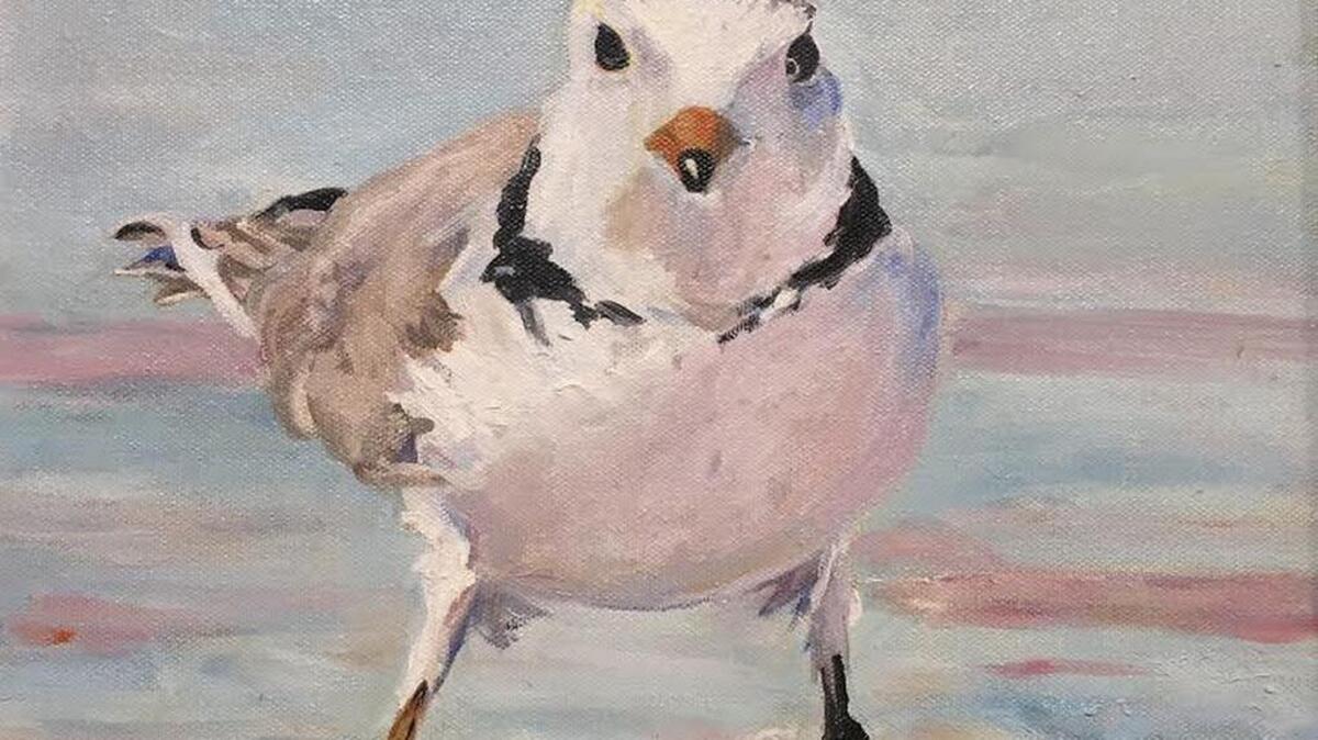 This photo shows a plover painted by Katherine Wynn Patrick, whose works in oil and watercolors are on exhibit through Aug. 31 at Georgetown County Library’s Waccamaw Neck branch, 41 St. Paul Place, Litchfield Beach, off Willbrook Boulevard – open 8:30 a.m.-7 p.m. Mondays-Thursdays,and 8:30 a.m.-5:30 p.m. Fridays-Saturdays. Details at 843-545-3623 or georgetowncountylibrary.sc.gov.