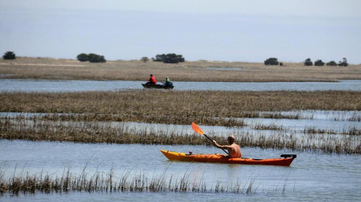 Mondays in “Coastal Kayaking,” take a guided salt-marsh tour from Oyster Landing in Murrells Inlet. Register at 843-235-8755 by 4 p.m. the previous Sunday. Details at www.huntingtonbeachsp.com.