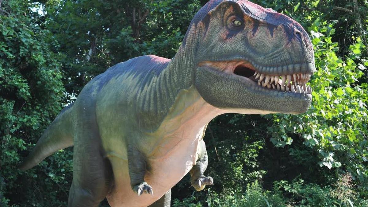 The “Dinosaurs” special exhibit, with five life-size replicas, opens at N.C. Aquarium at Fort Fisher, on U.S. 421, just south of Kure Beach, N.C., open 9 a.m.-5 p.m. daily. It’s free with regular admission: $10.95 ages 13-61, $9.95 seniors and military, $8.95 ages 3-12, and free ages 2 and younger. Details at 910-458-7468 or www.ncaquariums.com/fort-fisher.