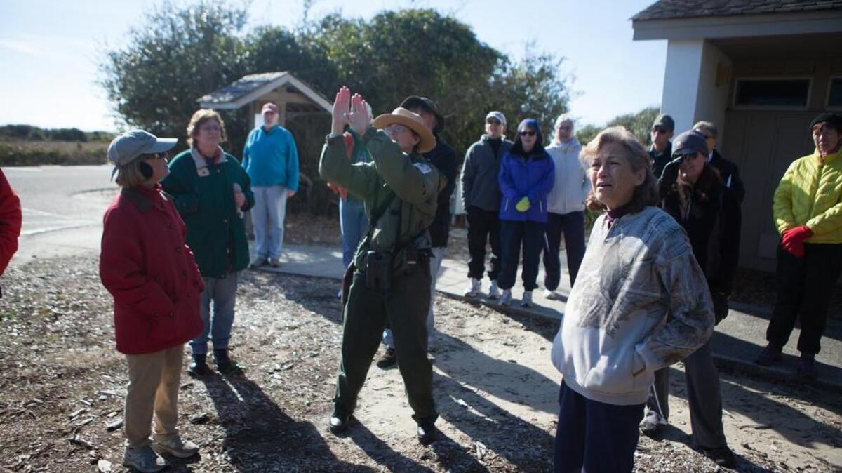 Ann Malys Wilson, a longtime interpretive ranger at Myrtle Beach State Park, stops outside the Crooked Oak trailhead to discuss the effects of salty sea spray on the trees as she leads an entourage in the 2015 “First Day Hike” at the park. For New Year’s Day 2016, choose from two hikes from the park’s nature center: 1.5 miles, for adults, 10 a.m.-noon, and for families with children,1:30-3 p.m., to learn about park plants and animals.