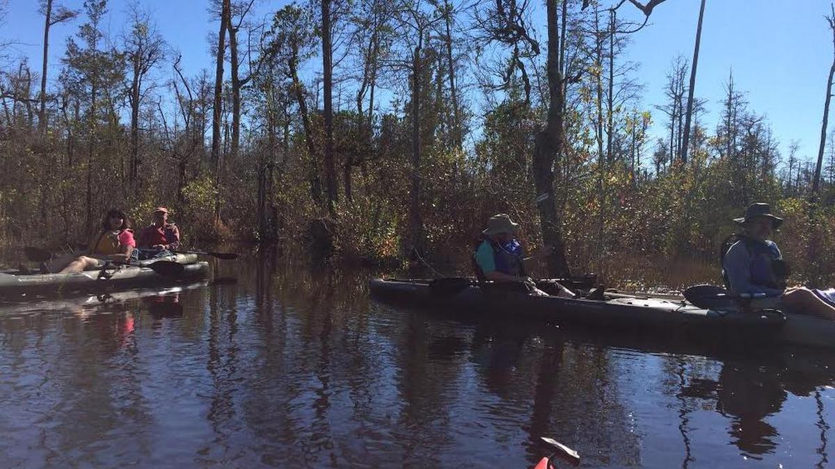 This photo shows people paddling at Goodale State Park, near Camden. Barnwell State Park, southeast of Aiken, will have midweek, kayaking cabin overnight getaways, Sept. 6-8, 13-15, 20-22 and 27-29. Details at 803-284-2212 or www.southcarolinaparks.com.