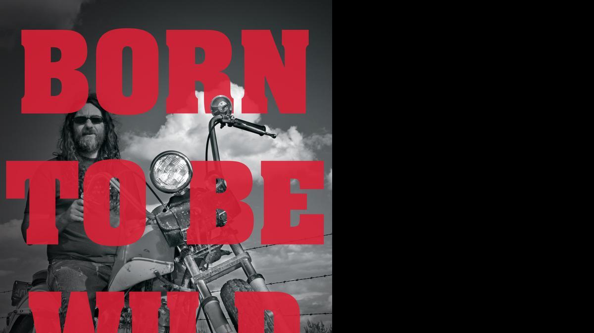 
 “Born to Be Wild: The Rise of the American Motorcyclist,” by Randy D. McBee.
