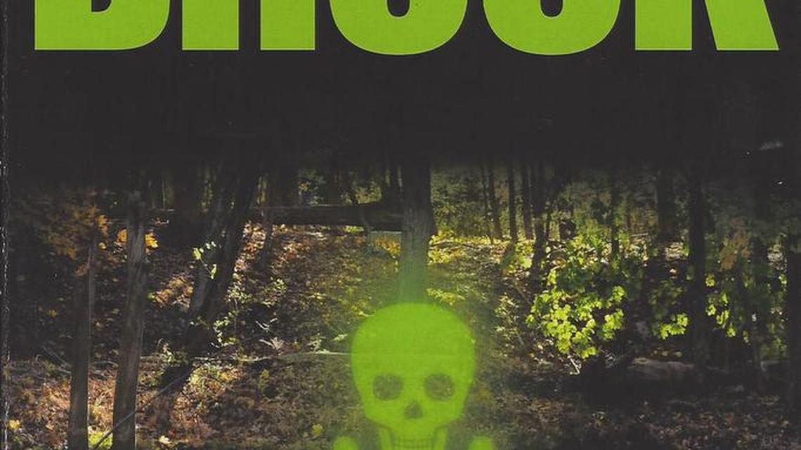 Reading Corner | Small-town politician challenges corporation