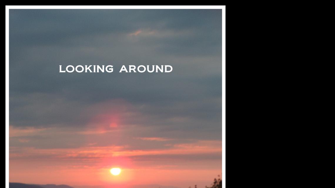 Reading Corner | ‘Looking Around’ offers accessible poetry for everyone