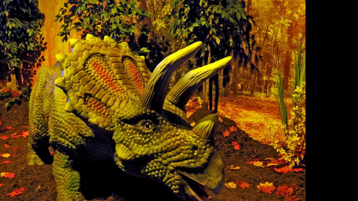 
“Dinosaurs – The Exhibition,” located in Heroes Harbor at Broadway at the Beach, is a family-oriented, interactive attraction with animatronic dinosaurs like this triceratops.
