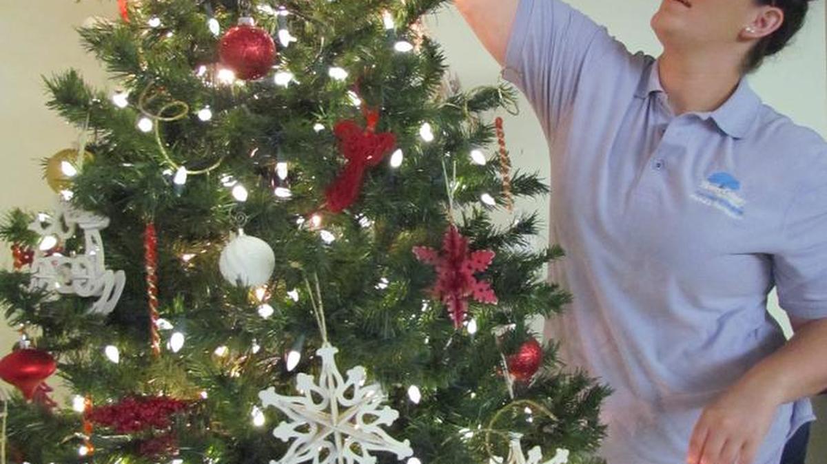 Alyssa Craft, program coordinator for Horry County Parks and Recreation, adjusts a light on one of the Christmas trees at C.B. Berry Recreation Center, Little River.