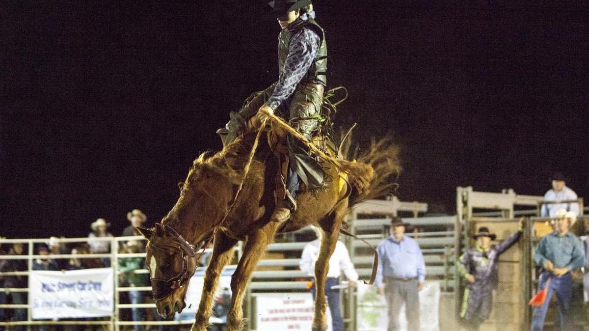A saddle-bronc rider holds tight to a bucking horse last spring at the first-ever S.C. High School Rodeo Association event in Horry County. The 2016 rodeo is at 8 p.m. Friday-Saturday at RES-LES Farms, on Gilbert Road, west off U.S. 701, south of Conway.
