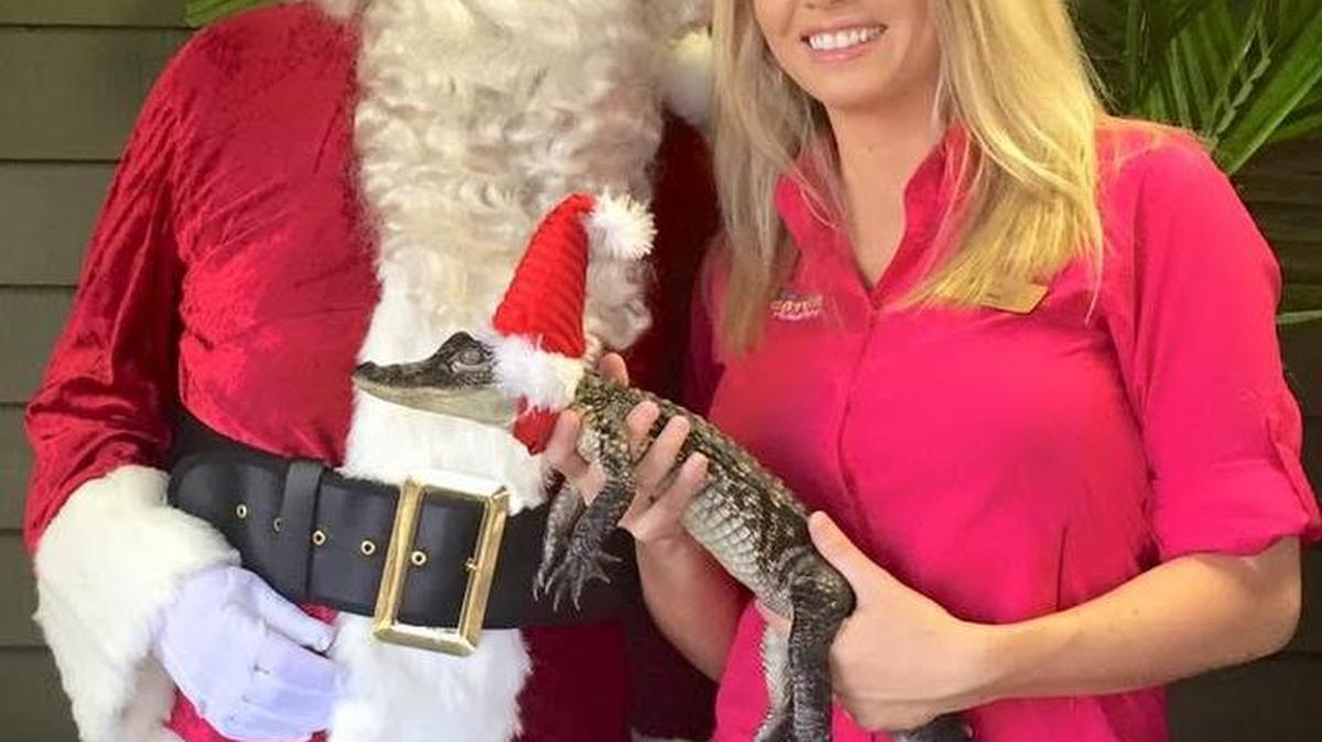 Free with admission to Alligator Adventure: take home an 8-by-10-inch photo in a pose with Santa and a juvenile alligator, 11 a.m.-3 p.m. Fridays-Sundays through Dec. 18. The park, in Barefoot Landing, on U.S. 17 in North Myrtle Beach, is open 10 a.m.-4 p.m. Fridays-Sundays, with lower rates in effect for winter. Details at 843-361-0789 or alligatoradventure.com.