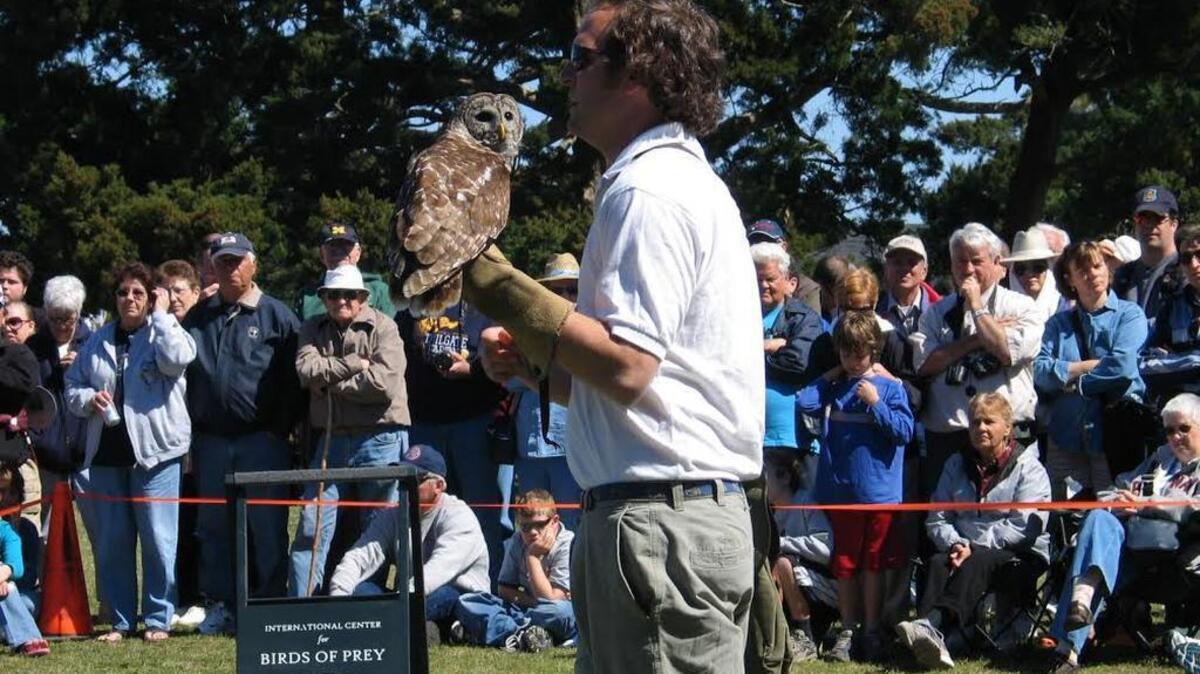 A barred owl stars in a live raptor show with The Center for Birds of Prey, from Awendaw, a crew that will visit 1-2 p.m. during “Birds of Prey Day,” Saturday at Huntington Beach State Park, on U.S. 17, between Murrells Inlet and Litchfield Beach.