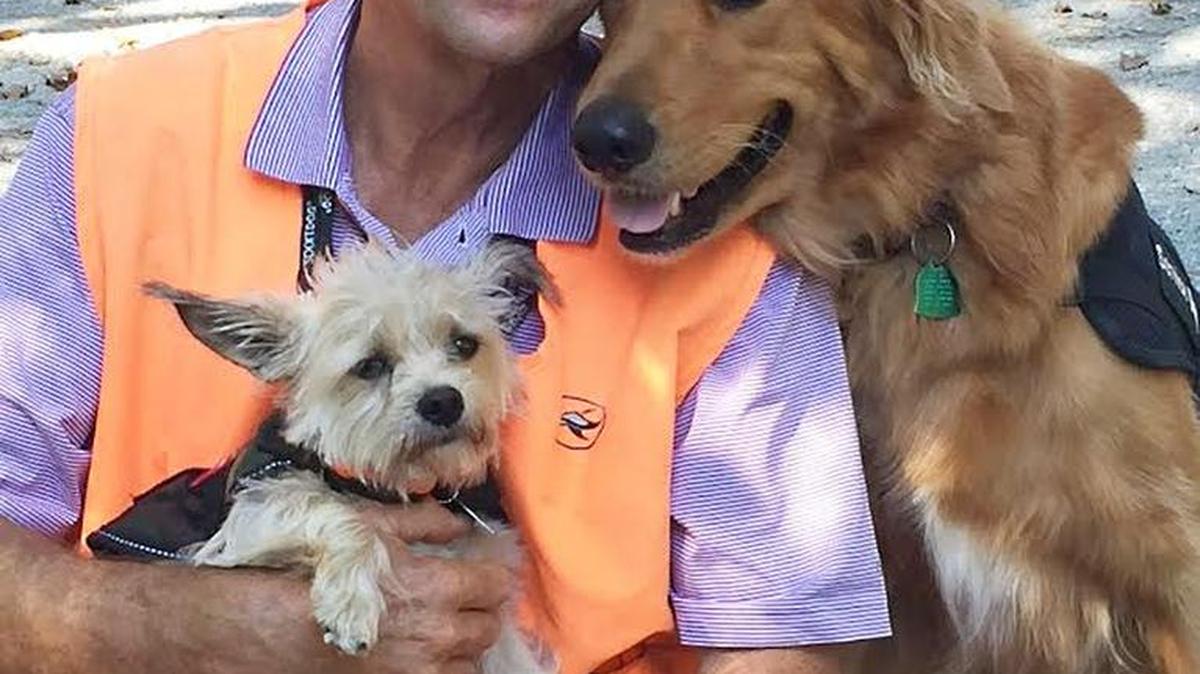 Join the “Operation S.A.V.E. (Saving Animals & Veterans Event),” benefiting Canine Angels, based in Little River with Rich Kaplan (pictured) who trains service dogs – such as Chewy, left, and King, on Kaplan’s shoulder – to live with veterans, 5:30-8:30 p.m. Tuesday at Pawleys Island Community Church, 10304 Ocean Highway (U.S. 17), Pawleys Island. The event’s live music includes John Lammonds, along with two veterans speaking about how their service dogs transformed their lives and families. Suggested donation $5. Details at 917-575-6235 or canineangelsusa.org, and from the host site, at 843-237-4449.