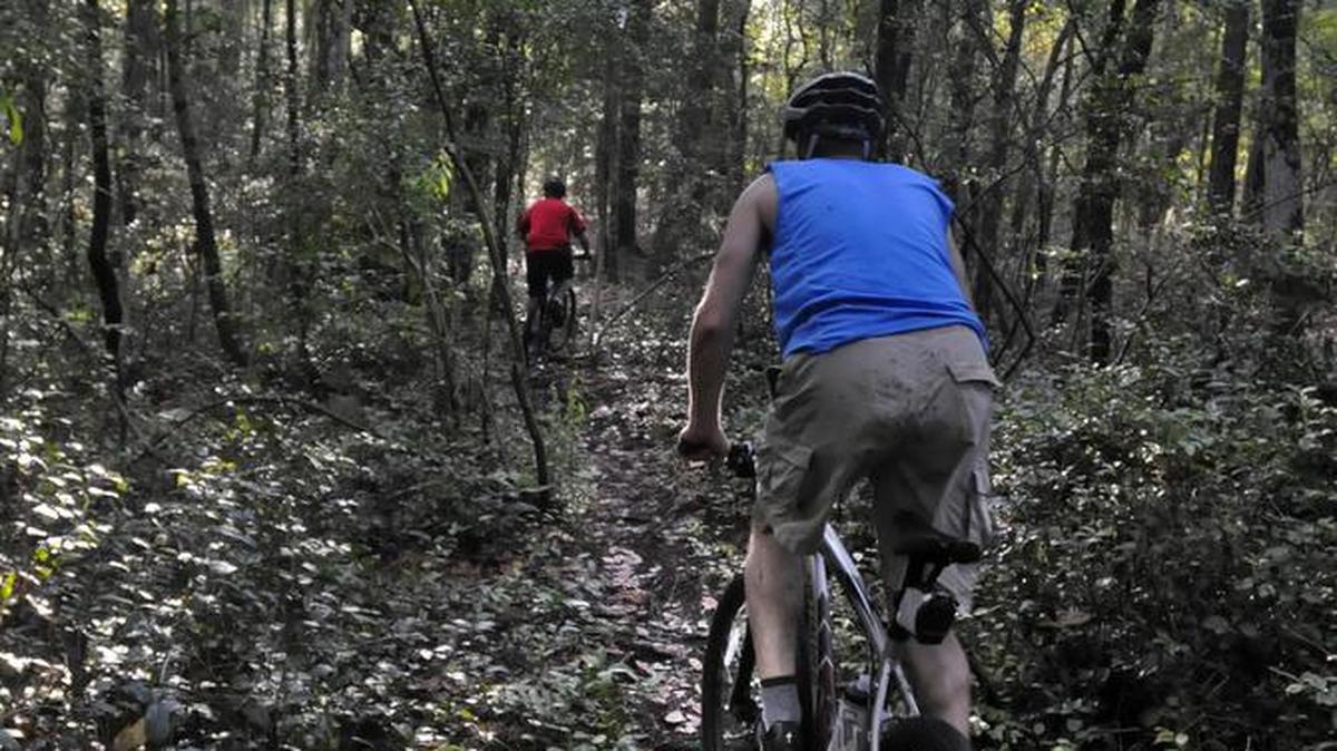 Two members of the Waccamaw Trail Blazers mountain biking club pedal the Jackson Bluff Trail at the Cox Ferry Lake Recreation Area, off S.C. 544, on the south side of Conway, in the Waccamaw National Wildlife Refuge, an area that straddles parts of Horry and Georgetown counties.