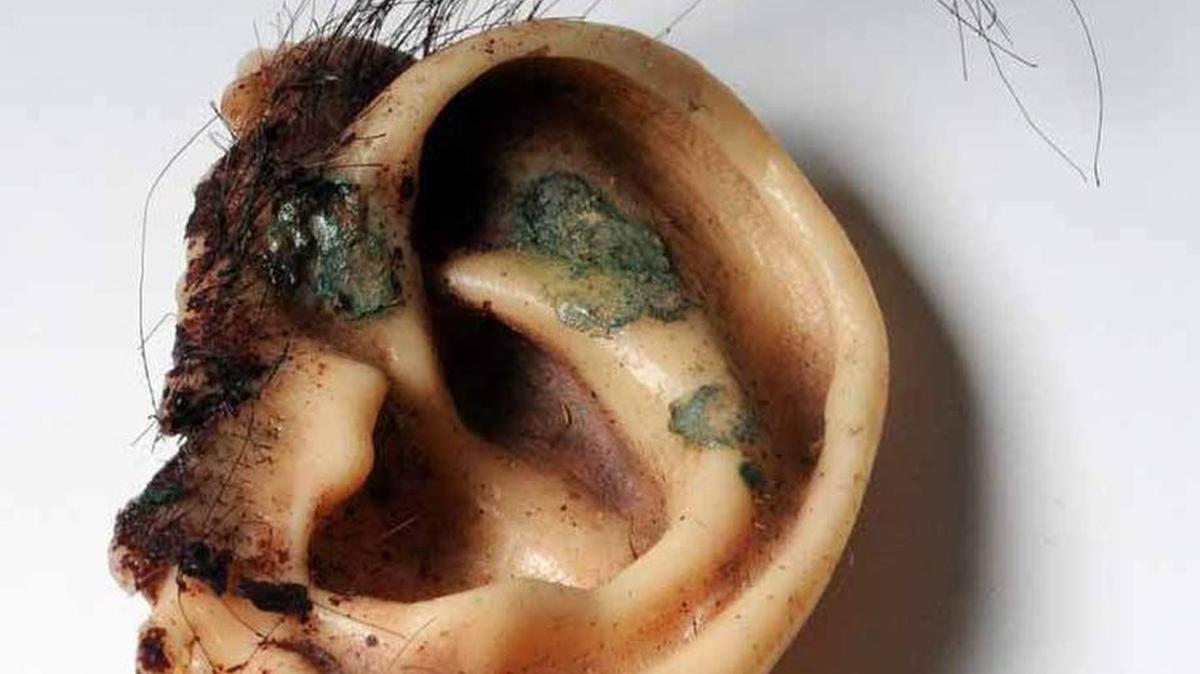 This photo shows from “Blue Velvet,” the ear made by Jeff Goodwin with real human hair. A makeup, special effects makeup and prosthetics artist, Goodwin will lead a forum, “Pulling Back the Curtain: Special Effects Makeup,” and show some of the techniques and processes that artists use to make movies magical for audiences. Meet at 7 p.m. Friday at Cape Fear Museum of History and Science, 814 Market St., Wilmington. The $5 admission for this outing includes time afterward to tour “Starring Cape Fear!” film exhibit.