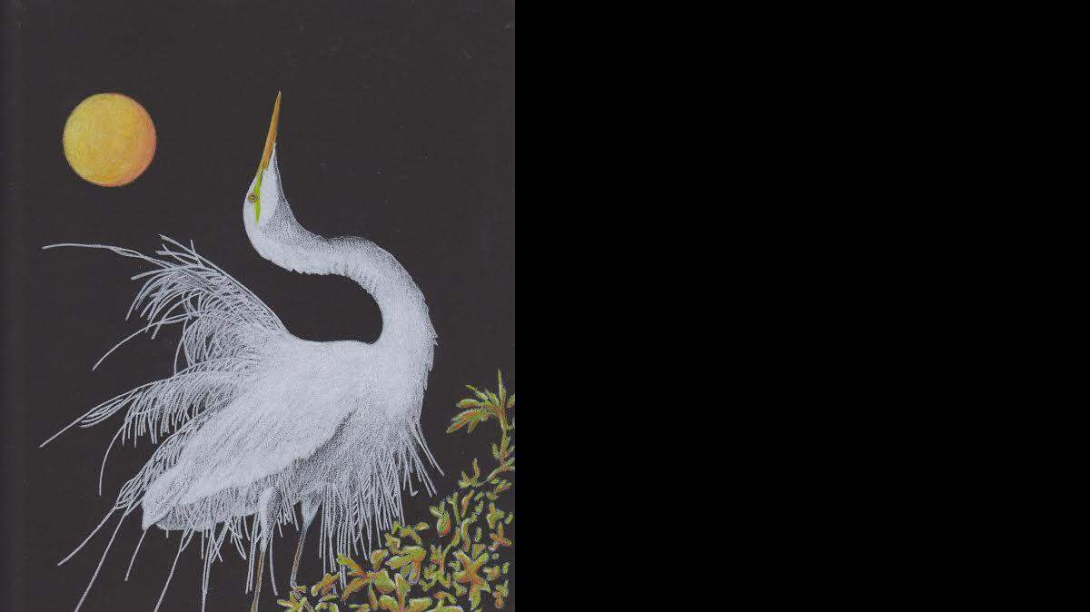 
This photo shows an egret in colored pencil by Jolene Stinson Williams, whose works, along with pencil art by Susan Mason, remain on exhibit with prints for sale, benefiting the Grand Strand Humane Society of Myrtle Beach, 7 a.m.-3 p.m. daily through May at Benjamin’s Bakery, 810 Third Ave. S., Surfside Beach.
