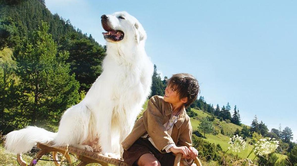 This photo shows a poster for “Belle et Sebastian: L’Aventure Continue,” a movie that will play at 2 p.m. Sunday as part of the 13th annual French Film Festival. The extravaganza, with six award-winning screenings, all from 2014-16 and with English subtitles, opens at 7 p.m. Friday at Georgetown County Library’s Waccamaw Neck branch, 41 St. Paul Place, Litchfield Beach, off Willbrook Boulevard. Details at 843-545-3363 or georgetowncountylibrary.sc.gov/programs/Documents/FrenchFilms2017.pdf.