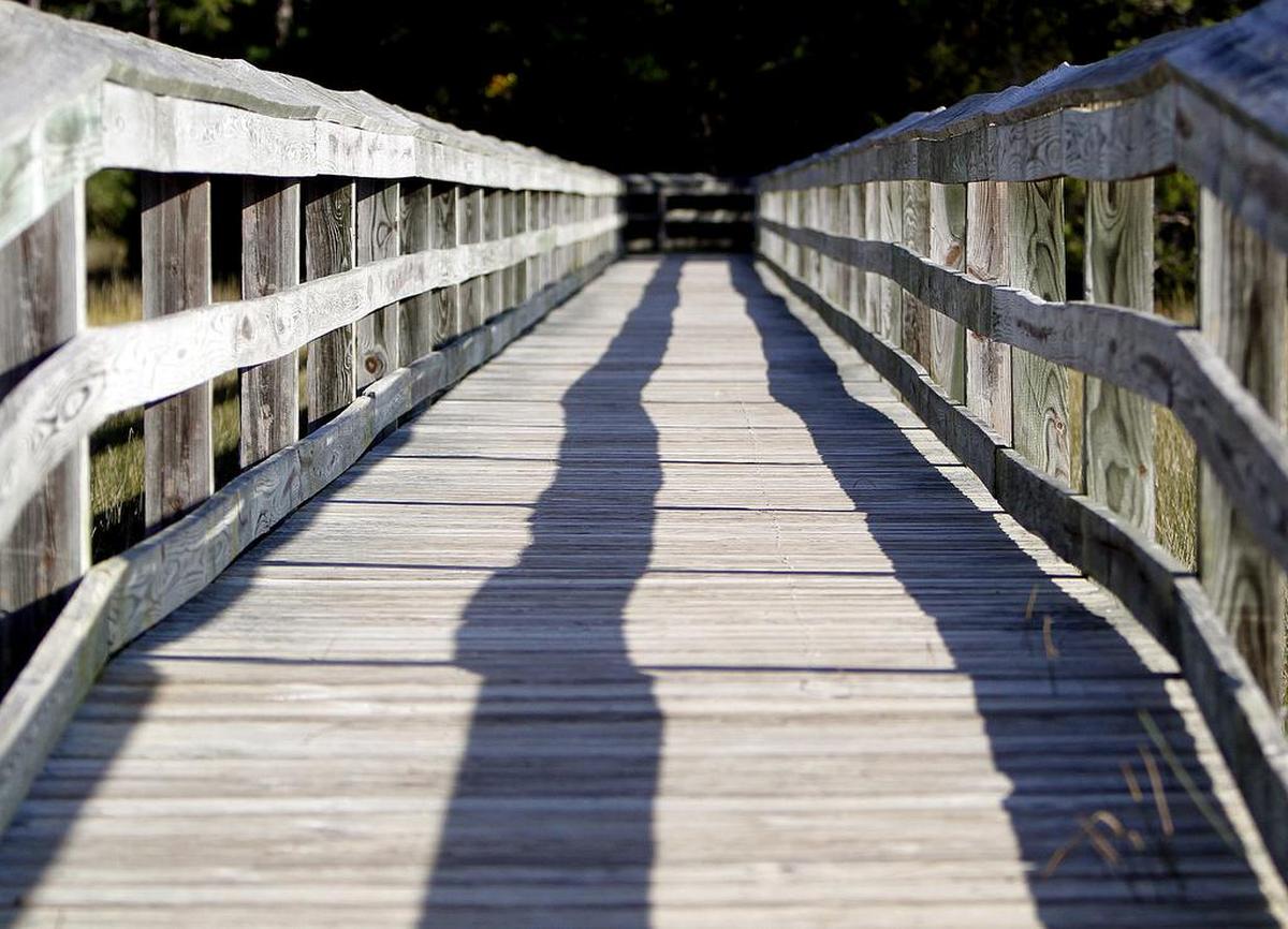 Take a scenic walk on some north Strand recreation trails in Vereen Memorial Historical Gardens, near the N.C. line, 9 a.m.-5 p.m. Mondays-Saturdays outside Horry County Parks and Recreation’s C.B. Berry Recreation Center, 2250 S.C. 179, Little River, just east of U.S. 17, for free. Details at 843-249-4157.