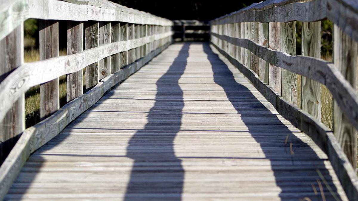 Take a scenic walk on some north Strand recreation trails in Vereen Memorial Historical Gardens, near the N.C. line, 9 a.m.-5 p.m. Mondays-Saturdays outside Horry County Parks and Recreation’s C.B. Berry Recreation Center, 2250 S.C. 179, Little River, just east of U.S. 17, for free. Details at 843-249-4157.