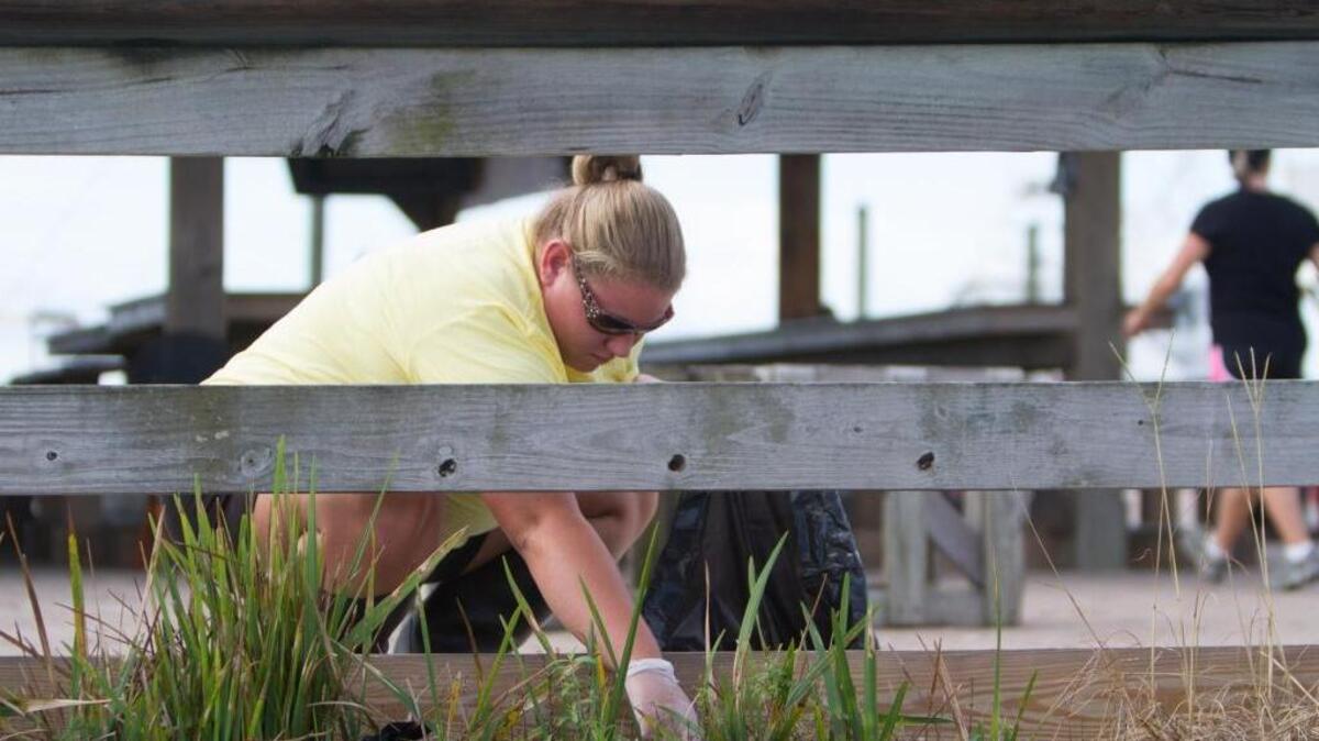 
Volunteers participate in the annual beach and river sweep. File photo.
