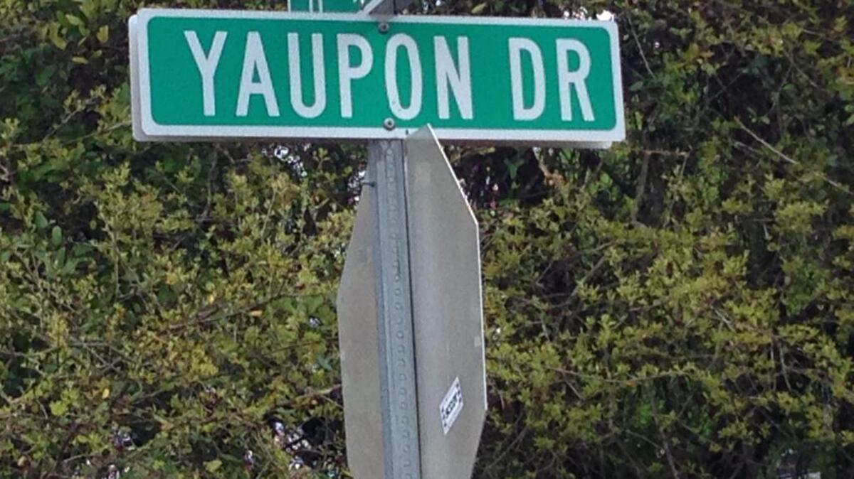 One of the street signs for Yaupon Drive in Myrtle Beach. Photo by The Surge staff.
