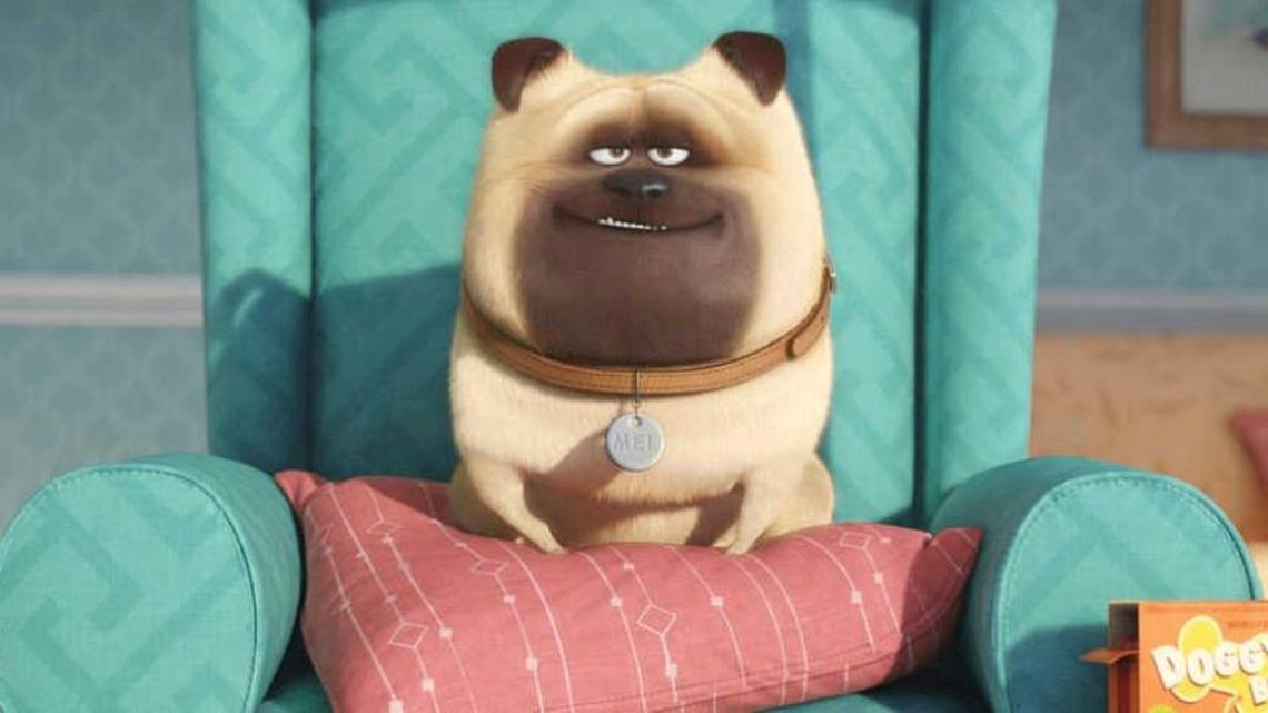 Reviewer: Be a kid again, and enjoy ‘Secret Life of Pets’ | @ the Movies