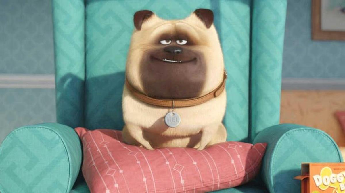 A scene from the animated movie “The Secret Life of Pets.”