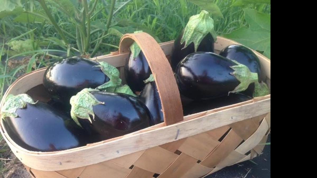 
Home Sweet Farm is a member of Slow Food Waccamaw. Courtesy photo.

