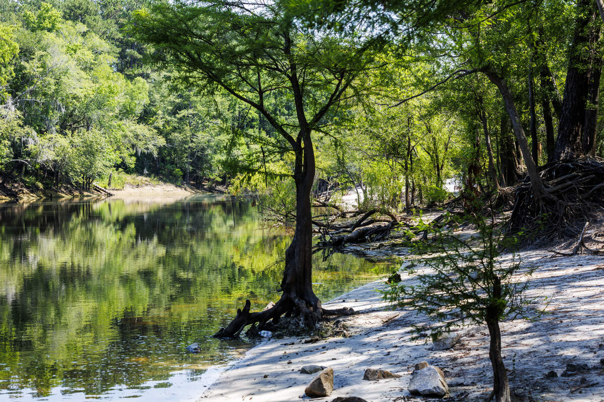 The Waccamaw River at Red Bluff, above Conway, SC is significantly lower than normal due to an ongoing drought. South Carolina and Horry County have received 8 inches less rain than normal for this time of year leading to exposed river banks and waterway hazards. June 8, 2026.