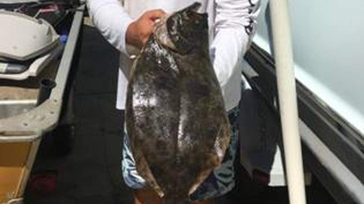 Ed Keelin of Georgetown Landing Marina shows off a nice flounder caught last weekend in the Georgetown vicinity.