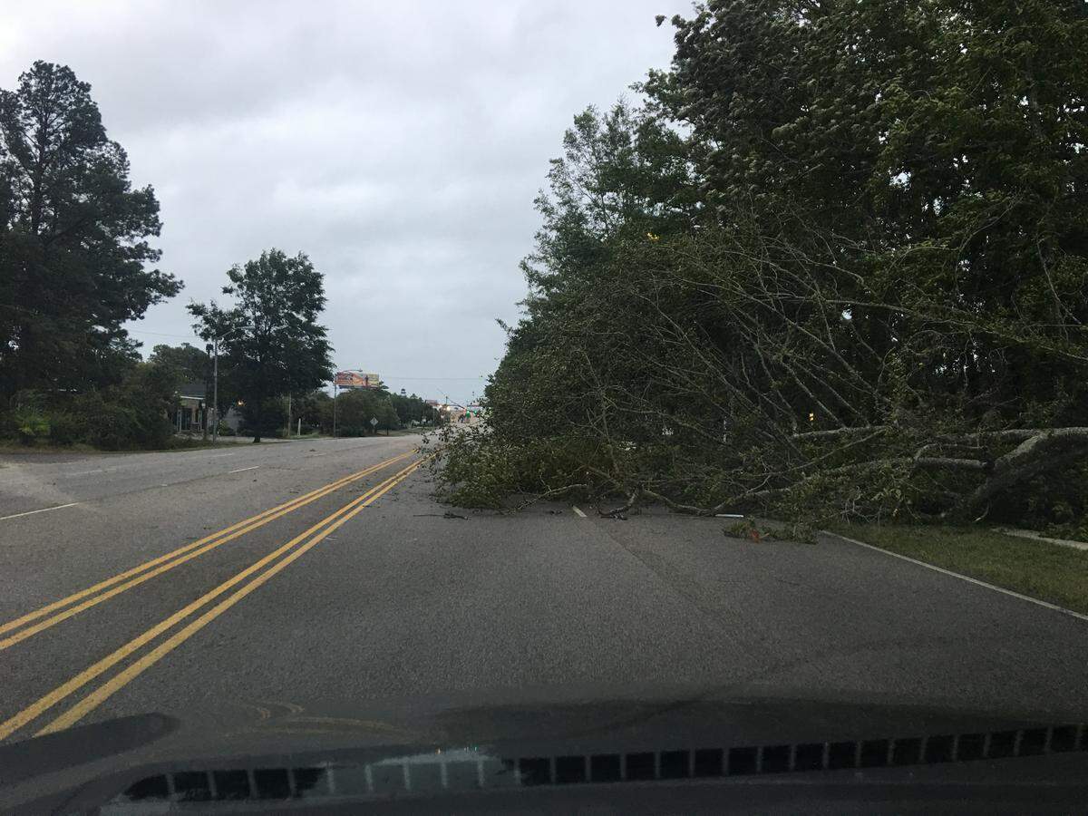 A tree fell on U.S. 501 near 3rd Avenue South in Myrtle Beach.