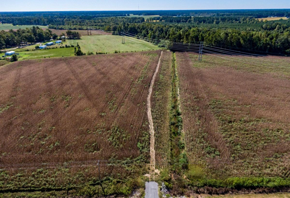 Sheridan Wahl, age 21, was found dead two days after her car was found burning in this Florence County cornfield. A 500 yard swath of corn was leveled as the car crossed the field and burned in a ditch near Keith Lane and U.S. 378 near Coward, S.C. All that remained Friday, Sept. 25 was a car’s emblem, melted glass, charred corncobs and pages of a book. Wahl’s body was found almost ten miles from the cornfield behind the Hanah-Salem-Friendfield Fire Station 1. Sept. 24, 2021..