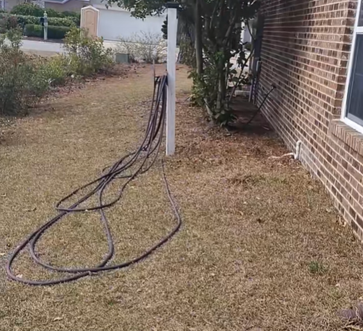 Alexandra Bialousow’s garden hose. The South Carolina Forestry Commission said the Carolina Forest woman who allegedly started the Covington Drive wildfire didn’t have a hose or garden equipment available to control the backyard fire she started.