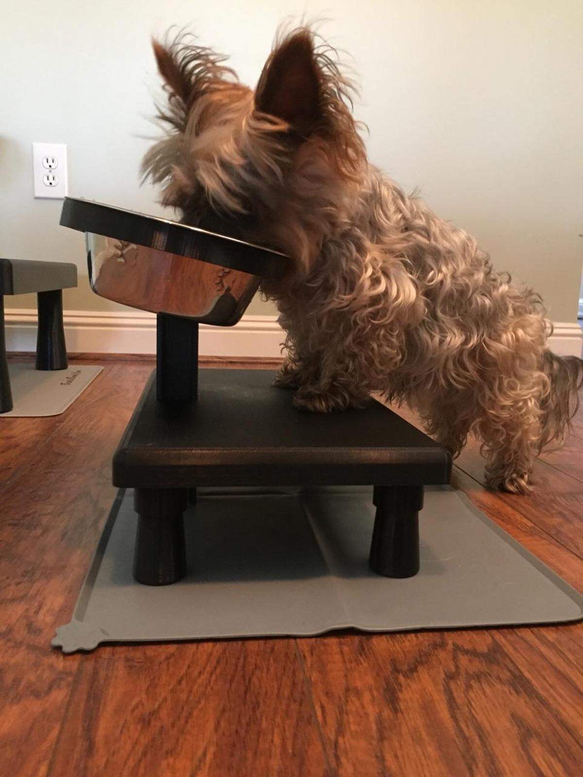 Brian Uhl and Joe’l Sanfilippo’s 18-year-old Yorkie, Brodie, eats from the Brodie Bowl, an invention Uhl constructed that won a 2018 Pet Business Magazine award.