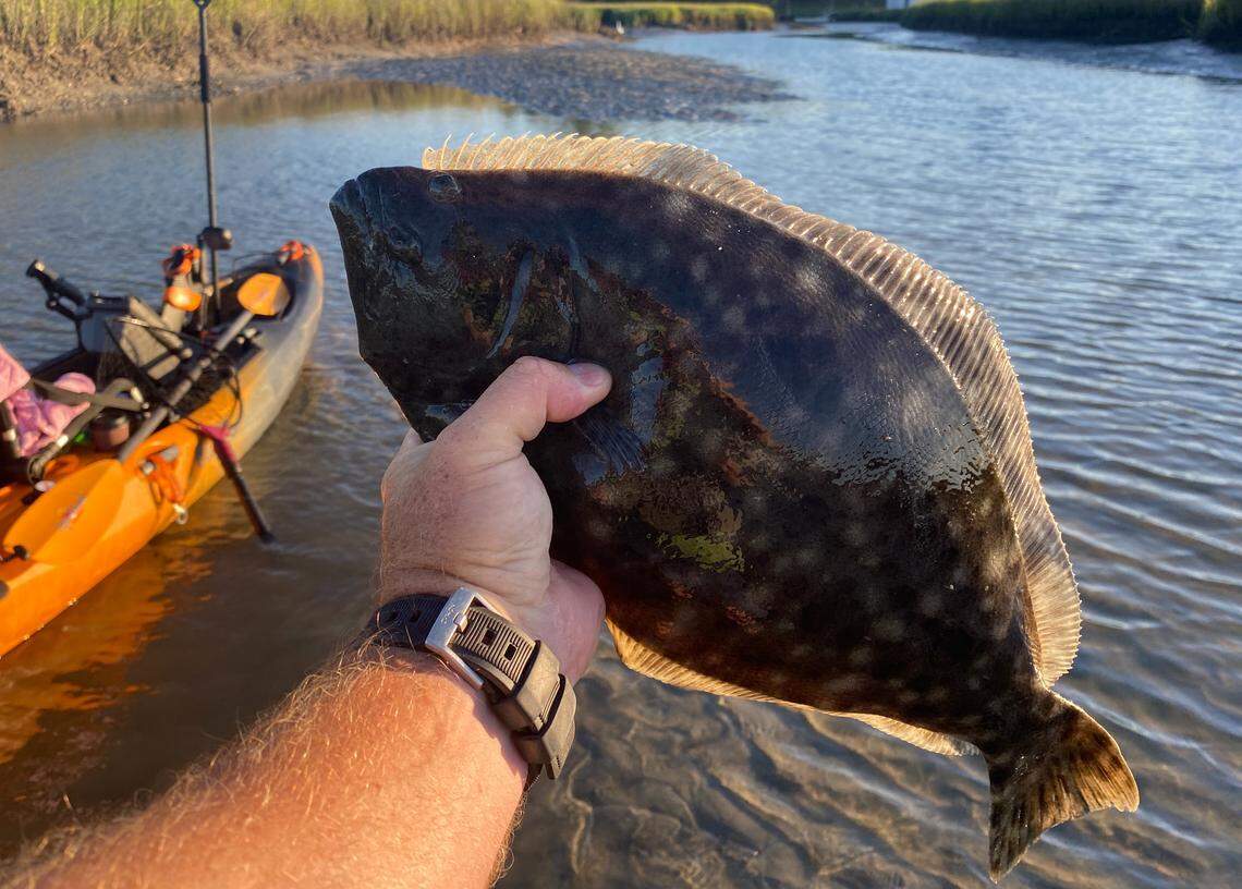 A flounder caught while kayak fishing in South Carolina.