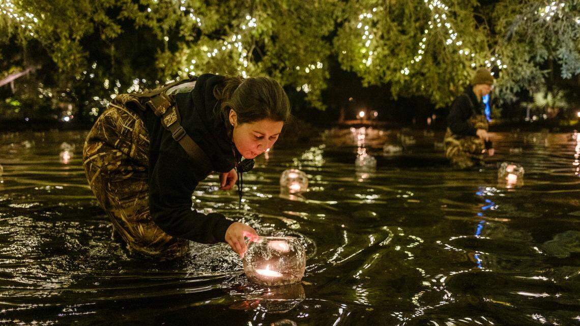 This picture of Brookgreen Gardens staff member Megan Baker wading into a pool to extinguish the floating candles at the end of the Nights of a Thousand Candles won a first-place award for the Pictorial category in the South Carolina Press Association News Contest.