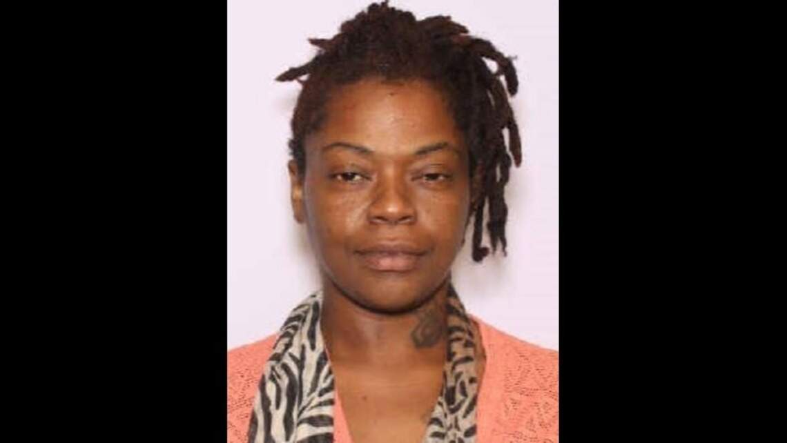 Police search for missing woman in Little River | Myrtle Beach Sun News