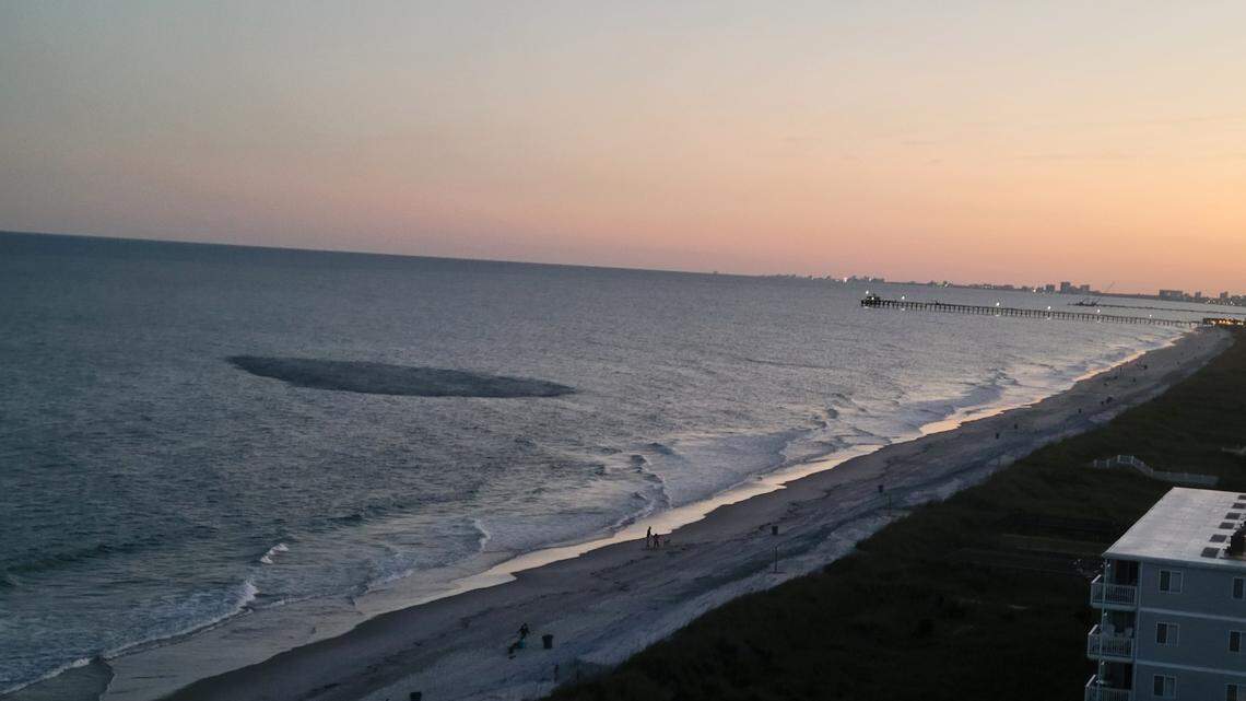 Did you see the black blob in the ocean near Cherry Grove? Here’s what it could be