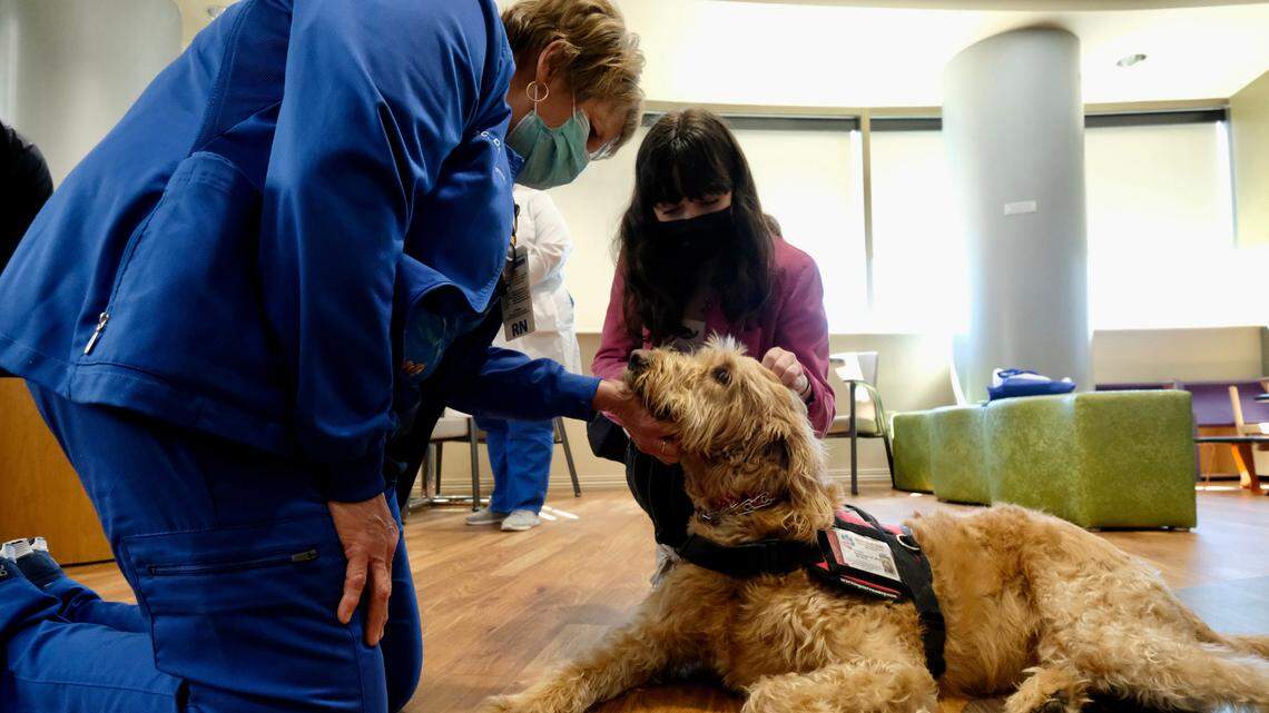 15-year-old Myrtle Beach diabetic honors her nurse by naming a support dog after her