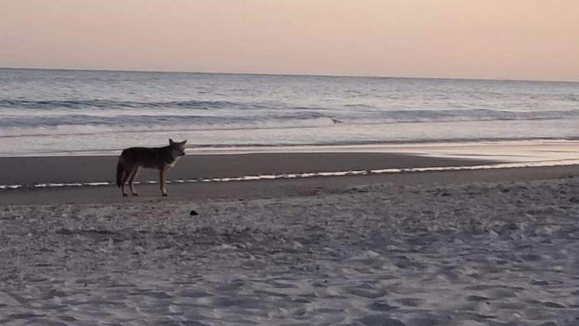 A gas station proposed for Pawleys Island has one neighborhood worried, a reader writes