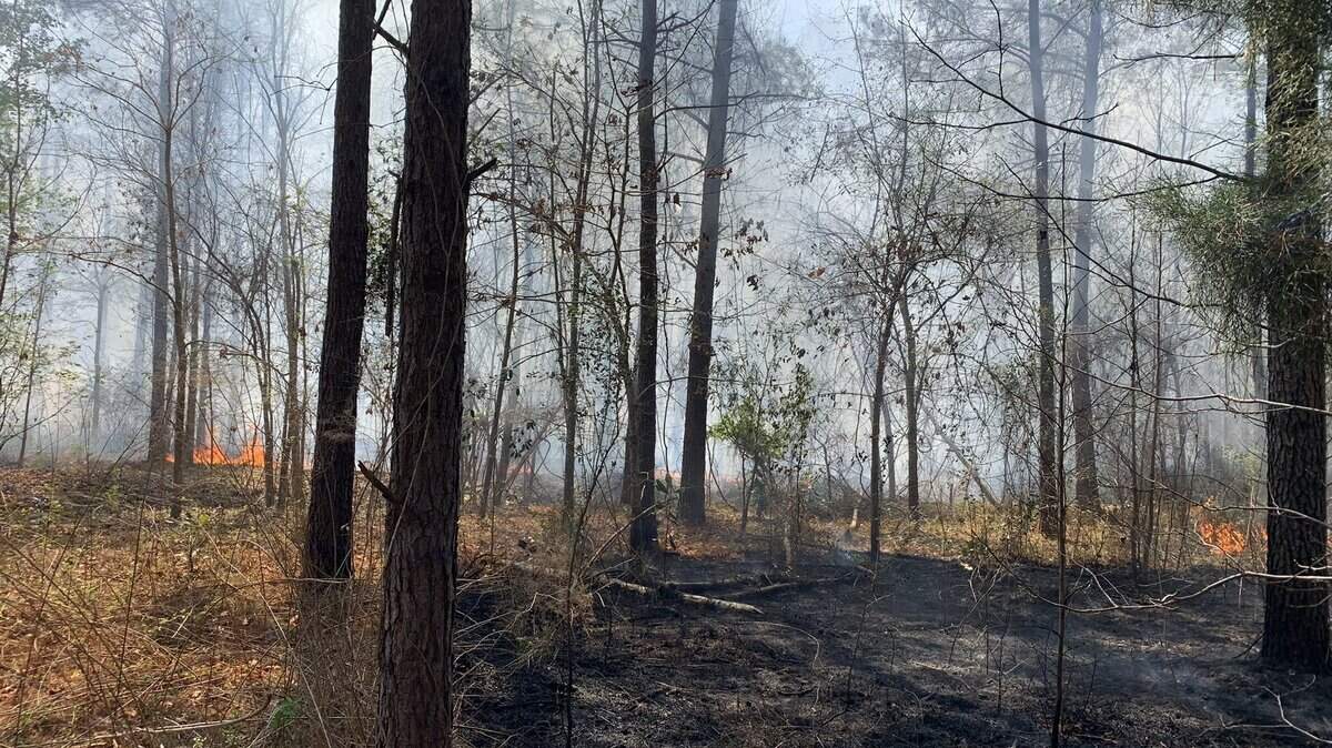 Horry County Fire Rescue responded to a 5 acre fire in Galivants Ferry on Sunday afternoon.