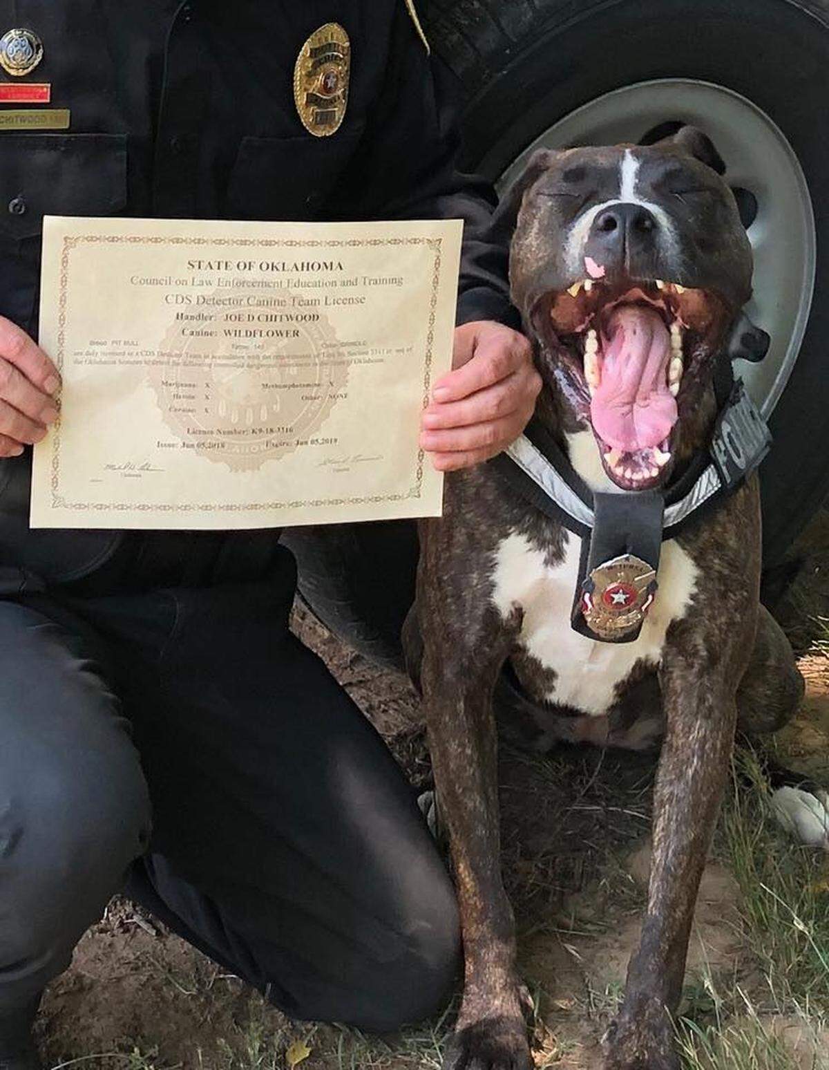 Wildflower after she received her certifications in Oklahoma.
