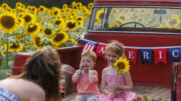 Photos: Sunflower festival at Southern Palmetto Farms in Aynor
