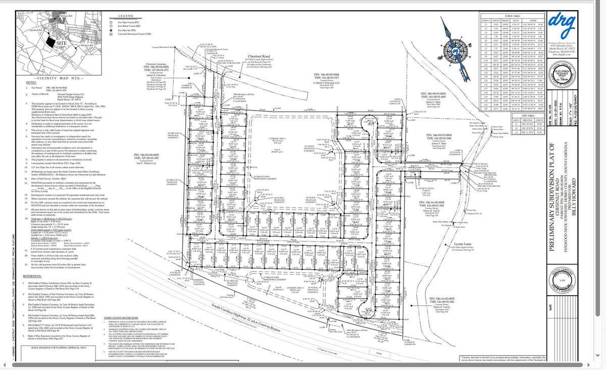 A preliminary plat of the planned Chestnut Farms community built by DRB Homes in Longs, S.C.