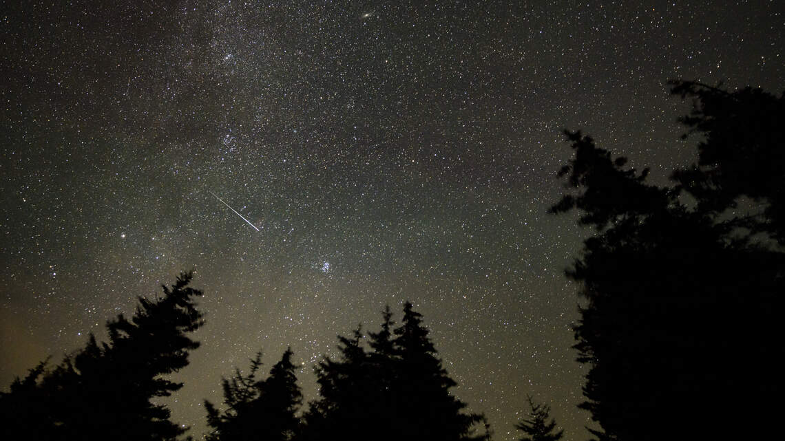 Hundreds report blue-green orb zip across sky in SC and NC. Was it space junk?