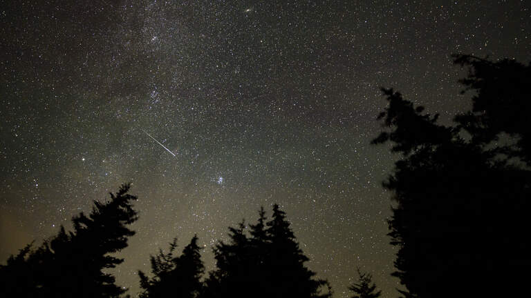 Hundreds report blue-green orb zip across sky in SC and NC. Was it space junk?