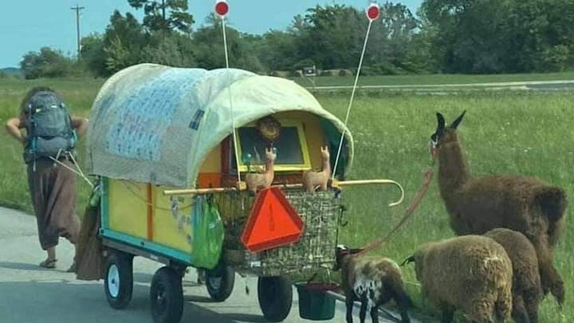 Ezer Way pulling her wagon in September 2021. Since then, Way has upgraded to a larger wagon. The self-described “sustainable nomadic traveler,” was stopped in Murrells Inlet on January 24, 2023.