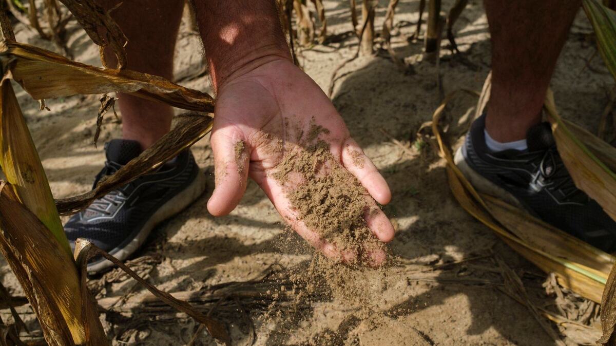 The drought has dried out soil and damaged local crops.