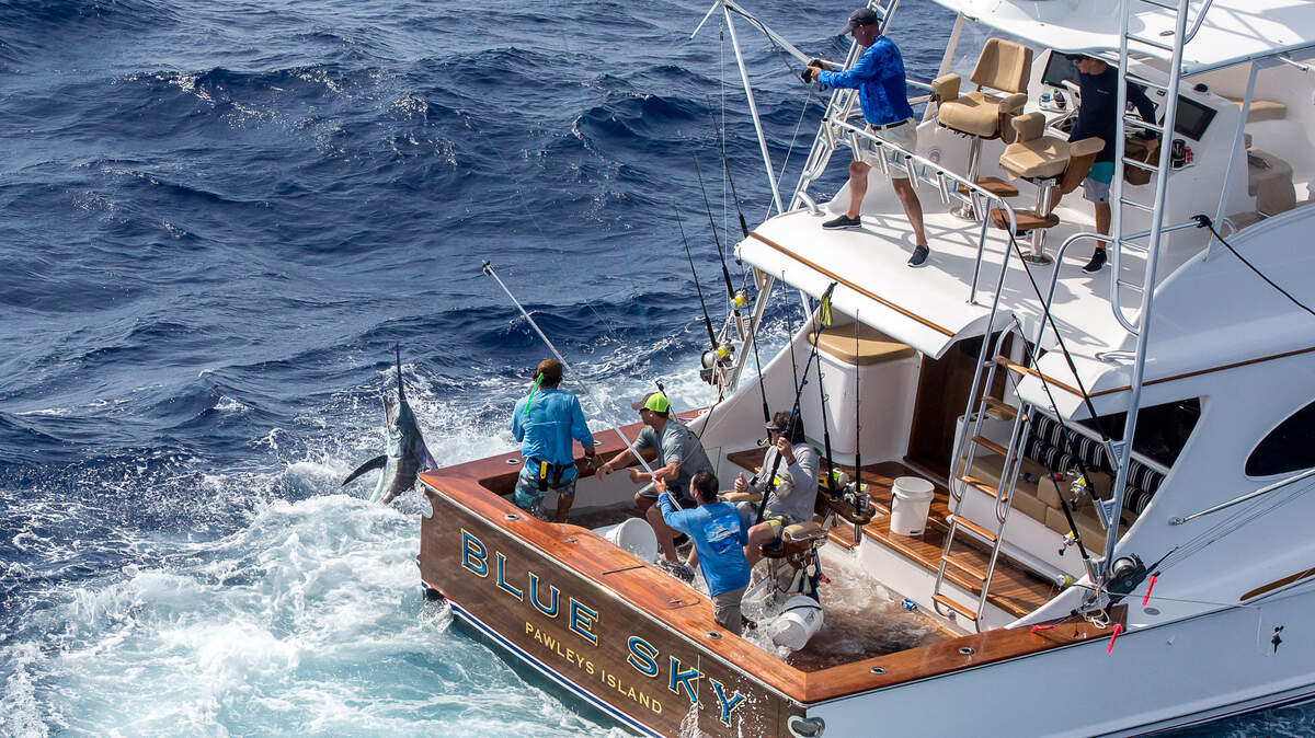 The crew of Blue Sky battles a blue marlin beside the boat. The Pawleys Island crew won the Carolina Billfish Classic last Saturday out of Charleston Harbor Resort & Marina in Mt. Pleasant, the third of four legs in the 2019 South Carolina Governor’s Cup Billfishing Series.