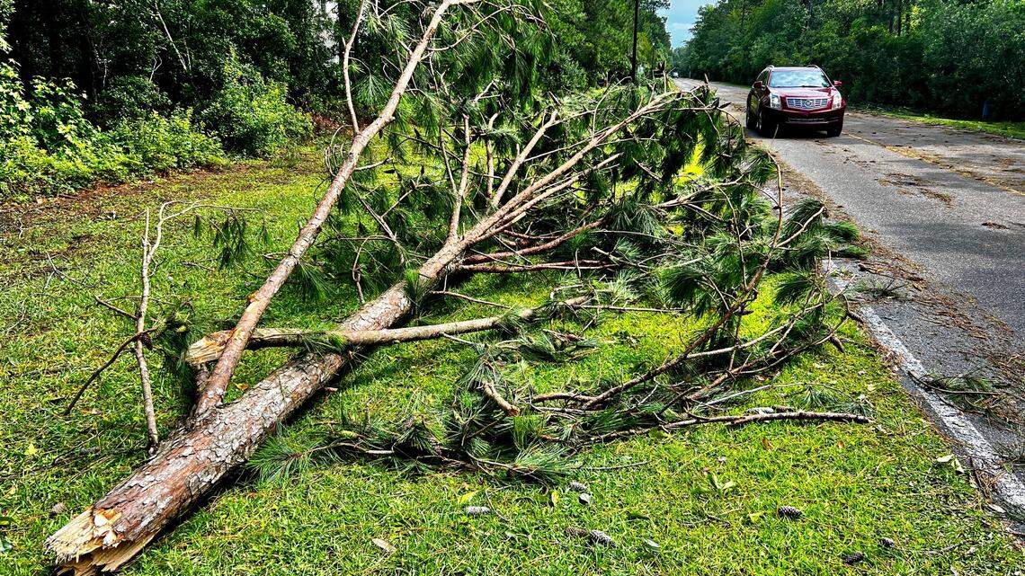 If Debby knocks a neighbor’s tree on your car, who pays for that? Here’s what SC law says