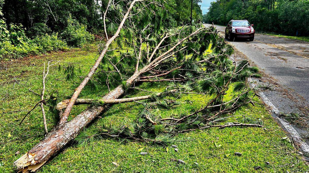 If Debby knocks a neighbor’s tree on your car, who pays for that? Here’s what SC law says