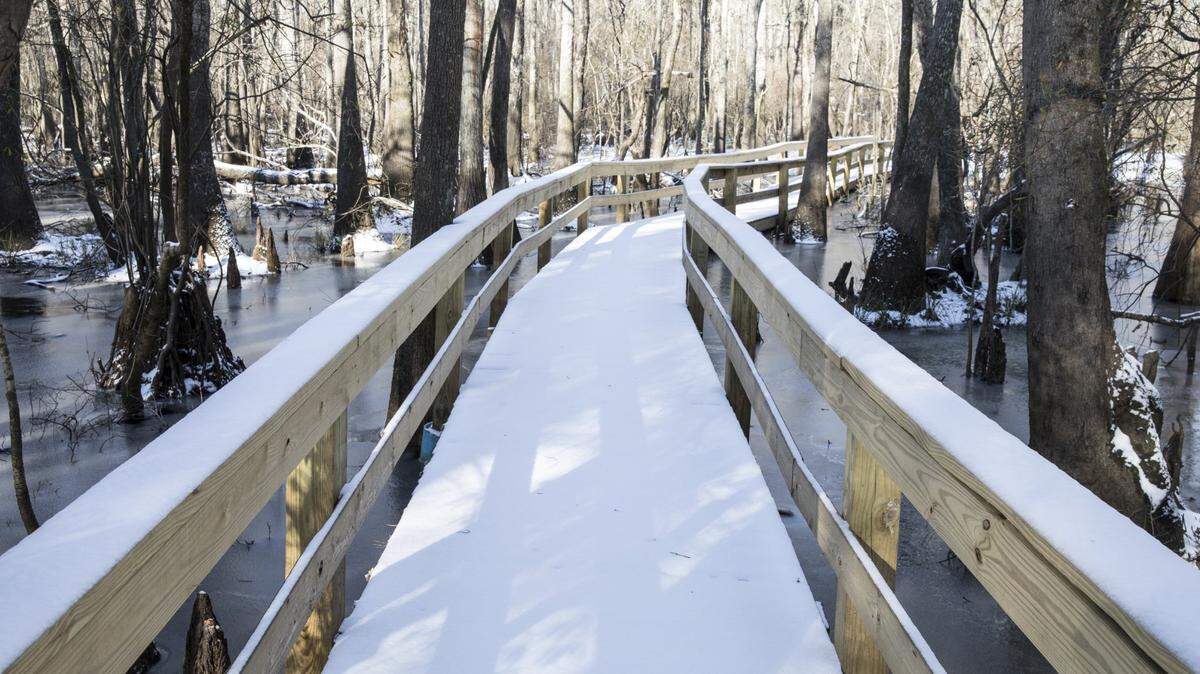 Will it snow in the south this year?