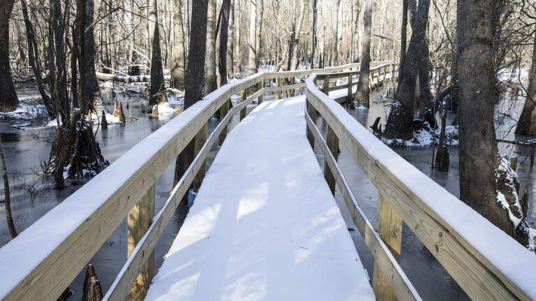 Will it snow this winter in Mississippi? Here’s what AccuWeather, NOAA experts predict